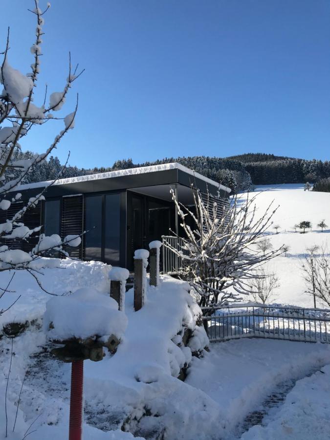 S-Suite Das Design-Ferienhaus Im Schwarzwald Biberach  Ngoại thất bức ảnh